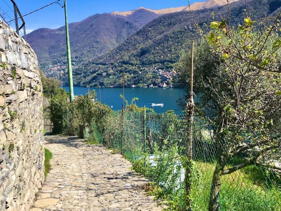 Romantic Home Stone With Amazing View Lake Of Como And Oleandra Лалльо Экстерьер фото
